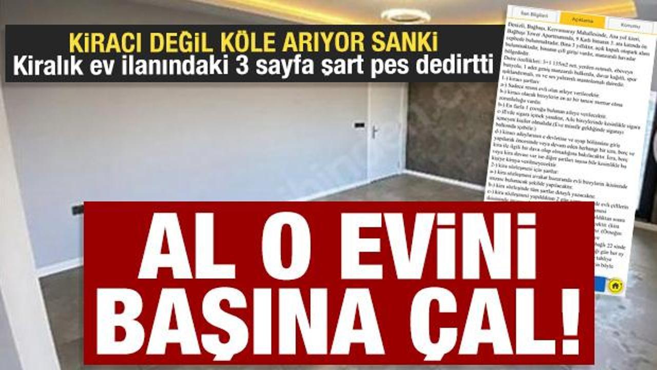 Al evini başına &ccedil;al! Kiralık ev ilanındaki şartlar pes dedirtti: &Ccedil;ocuk sayısı ve bulaşık..