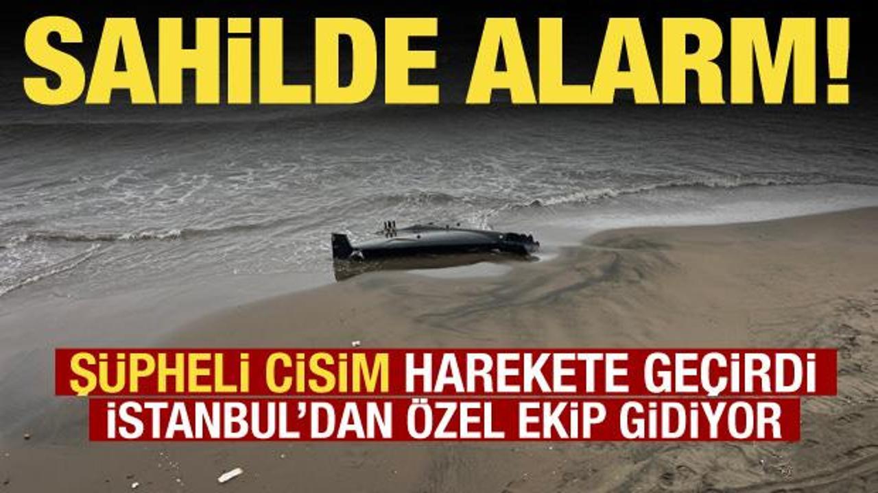 Ordu'da sahilde insansız hava aracı par&ccedil;ası bulundu! İstanbul'dan ekip gidiyor