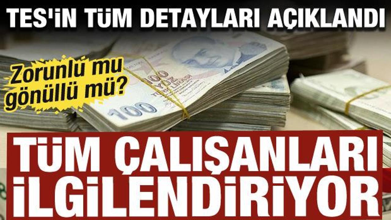 T&uuml;m &ccedil;alışanları ilgilendiriyor: İşte TES'in t&uuml;m detayları! Zorunlu mu g&ouml;n&uuml;ll&uuml; m&uuml;? 