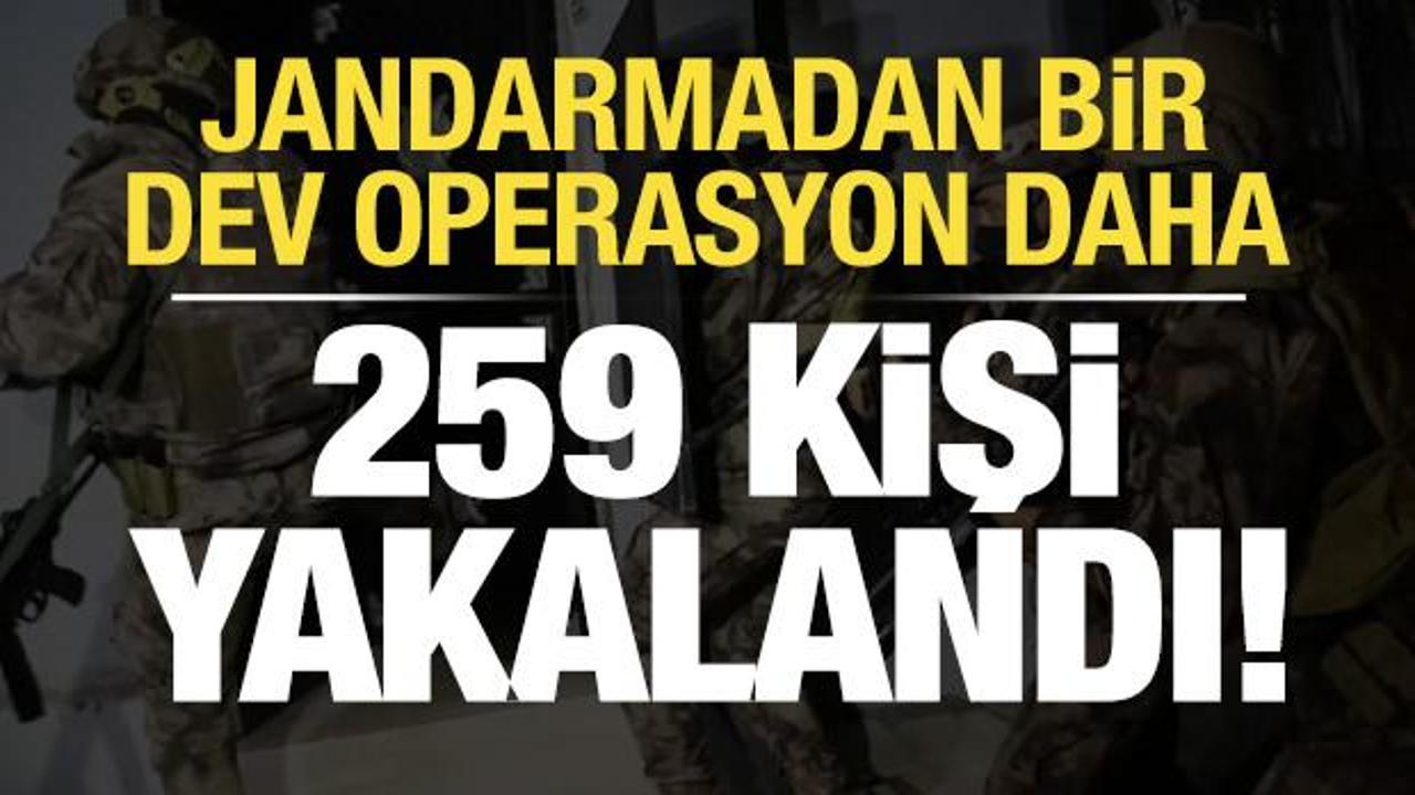 Son dakika: Jandarmadan bir dev operasyon daha: 259 kişi yakalandı!