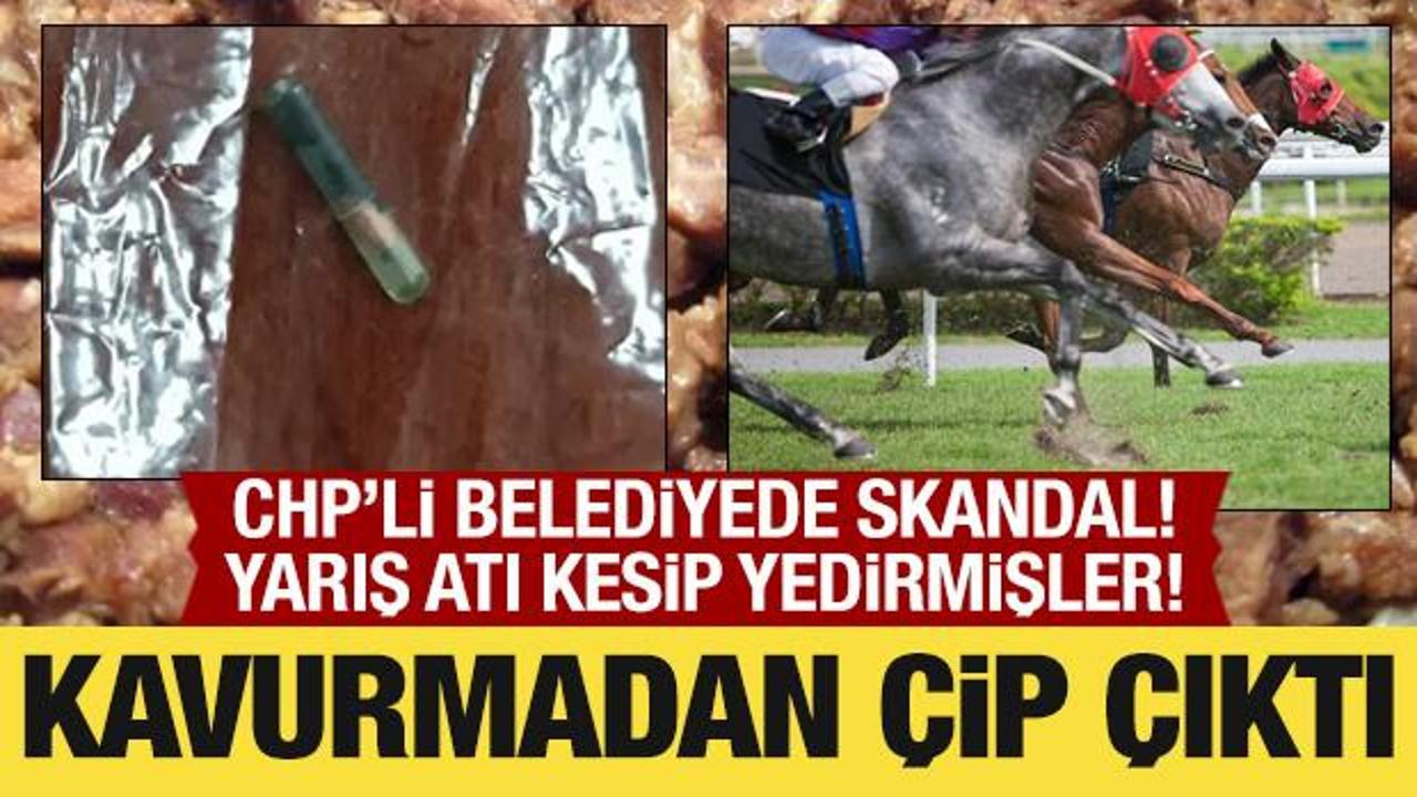 Belediyenin dağıttığı kavurmadan yarış atının &ccedil;ipi &ccedil;ıktı