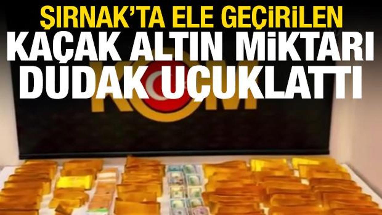 Şırnak'ta ele ge&ccedil;irilen ka&ccedil;ak altın, dolar ve euro miktarı dudak u&ccedil;uklattı