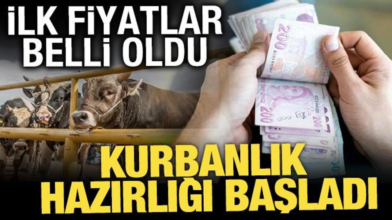Kurban pazarında hareketlilik başladı