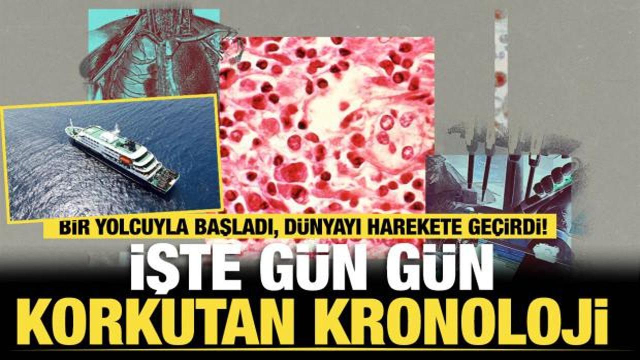 Bir yolcuyla başladı, d&uuml;nyayı harekete ge&ccedil;irdi: İşte g&uuml;n g&uuml;n korkutan kronoloji