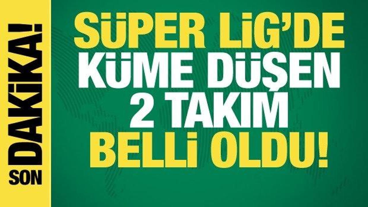 S&uuml;per Lig'den d&uuml;şen iki takım belli oldu
