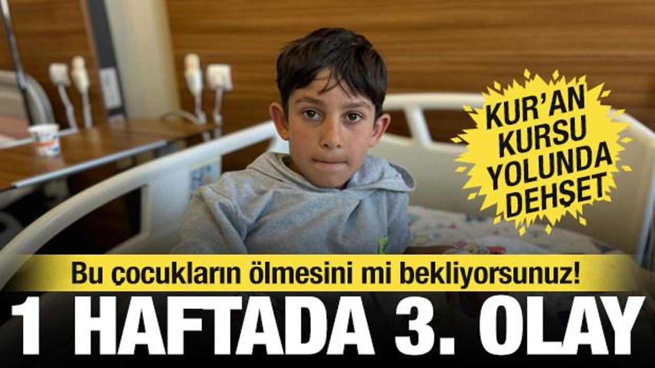 Van'da bir hafta arayla 3'&uuml;nc&uuml; k&ouml;pek saldırısı: Yasa var, uygulayan yok&hellip;
