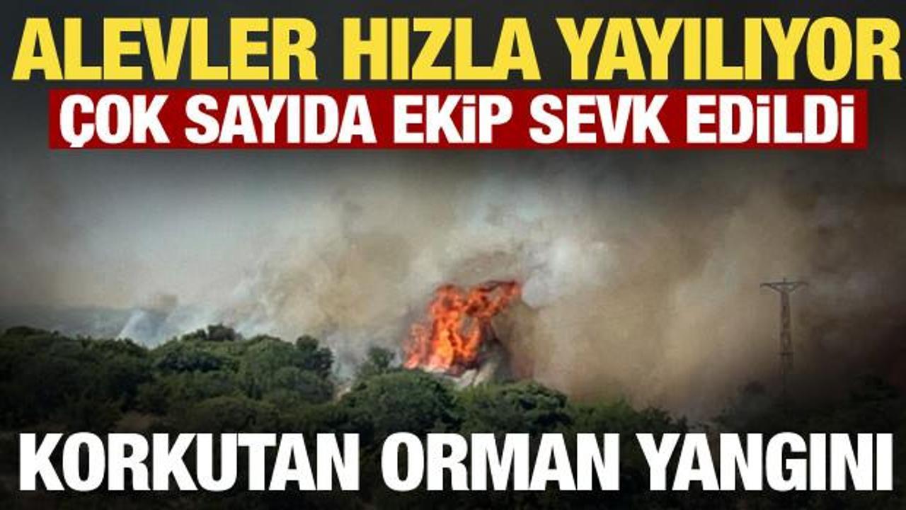 &Ccedil;anakkale'de korkutan orman yangını! Alevler kısa s&uuml;rede yayıldı