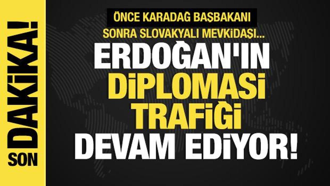 Son dakika...Cumhurbaşkanı Erdoğan, Karadağ Başbakanı Spajic'i kabul etti