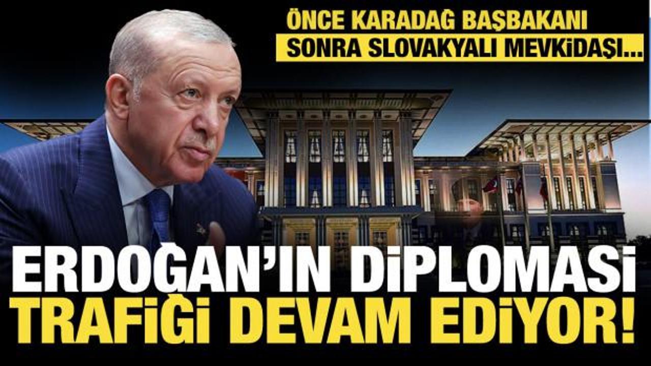 Son dakika...Başkan Erdoğan&rsquo;ın diplomasi trafiği devam ediyor!