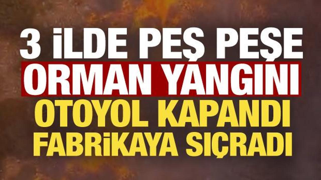 Alevler 3 ili sardı! Otoyol kapandı, fabrikaya sı&ccedil;radı