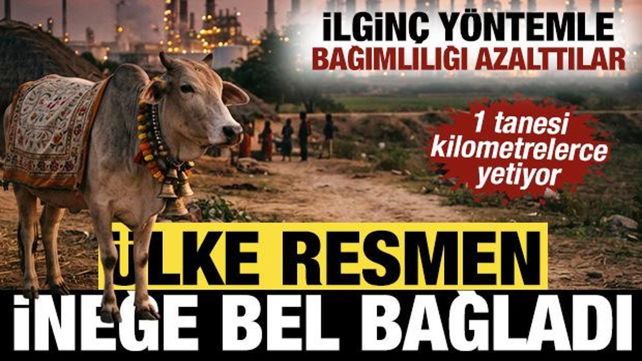 Hindistan ineğe bel bağladı: İlgin&ccedil; y&ouml;ntemle bağımlılığı azalttılar