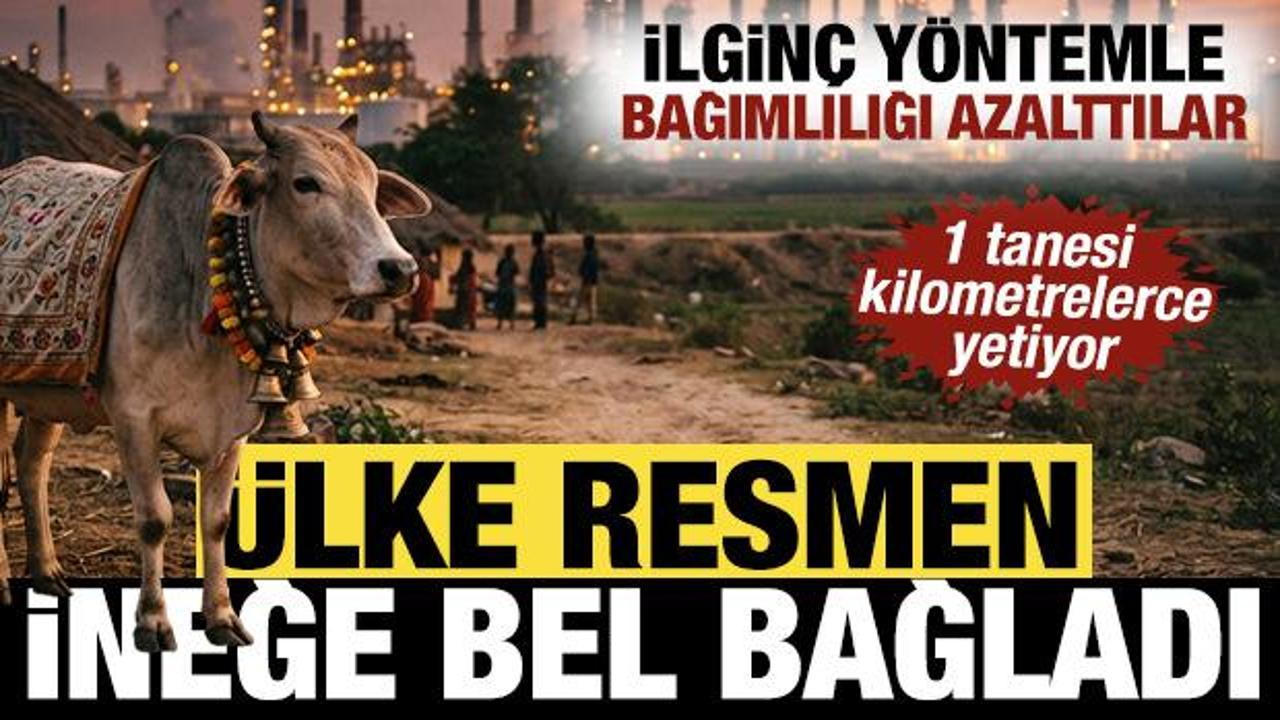 Hindistan ineğe bel bağladı: İlgin&ccedil; y&ouml;ntemle bağımlılığı azalttılar