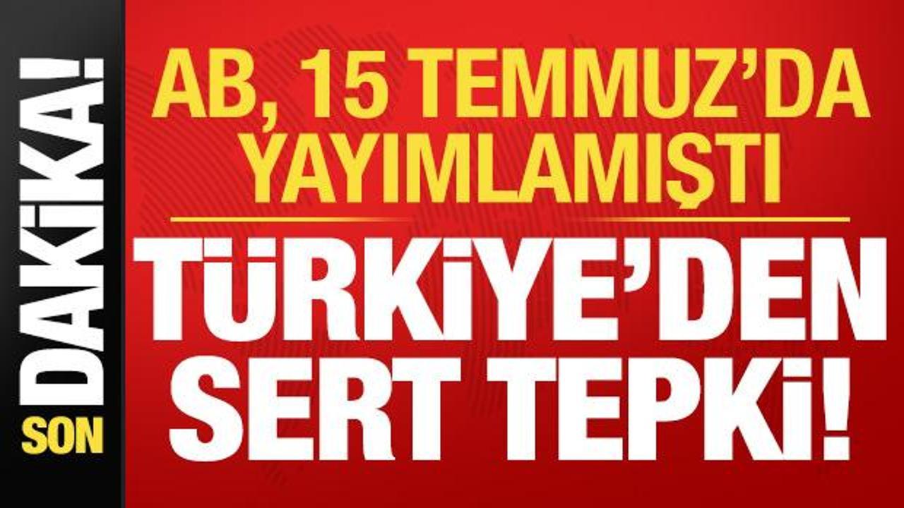 Avrupa Birliği bayrağı ve Türk bayrağının yanında bir konuşmacı.