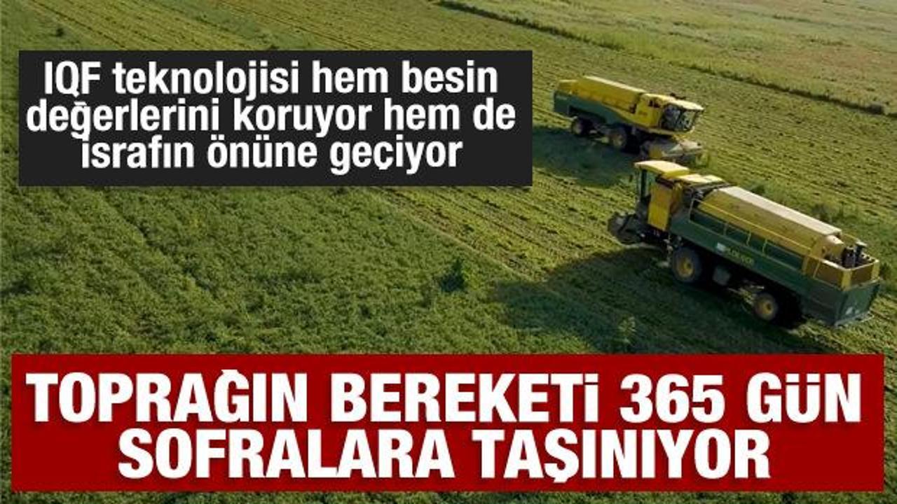 Toprağın bereketi SuperFresh&rsquo;in &lsquo;hasat&rsquo;ıyla yılın 365 g&uuml;n&uuml; sofralarda