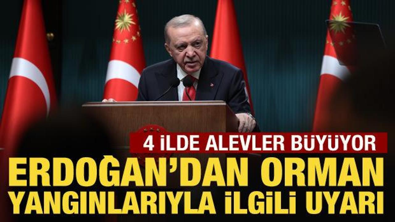 Cumhurbaşkanı Erdoğan'dan orman yangınlarıyla ilgili a&ccedil;ıklama