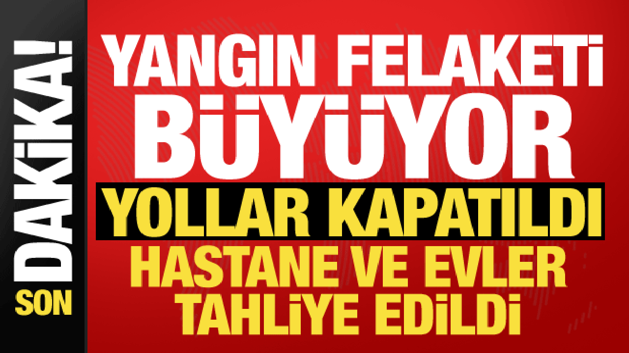 Muğla, Balıkesir ve Antalya'da orman yangını! Alevler kontrolden &ccedil;ıktı, karayolu kapatıldı