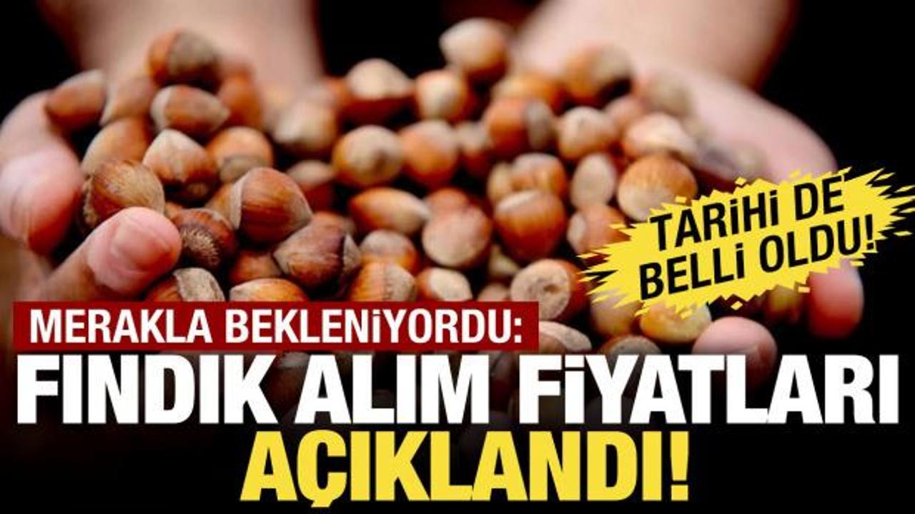 SON DAKİKA: Fındık alım - satım fiyatı belli oldu!