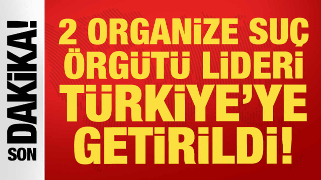 2 organize su&ccedil; &ouml;rg&uuml;t&uuml; elebaşı G&uuml;rcistan'dan T&uuml;rkiye'ye iade edildi