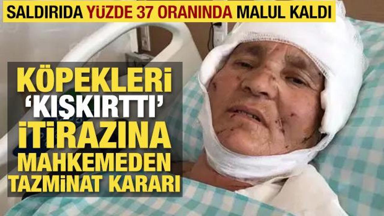 Kırşehir'de k&ouml;pek saldırısına uğrayan 63 yaşındaki kadına tazminat &ouml;denecek