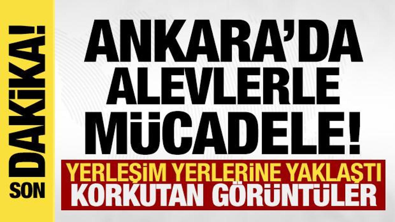 Son dakika: 3 ilde yangın paniği! &Ccedil;ok sayıda ekip b&ouml;lgede