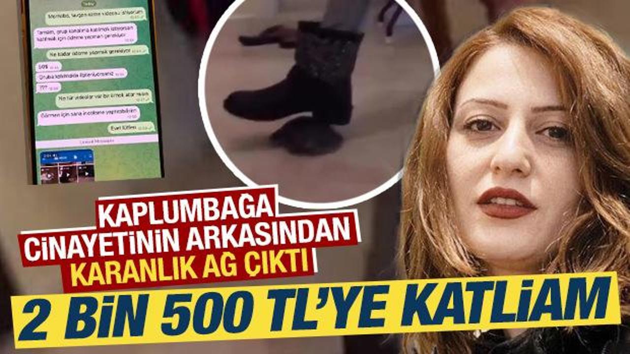 Kaplumbağa cinayetinin arkasından karanlık ağ &ccedil;ıktı: 2 bin 500 TL&rsquo;ye katliam