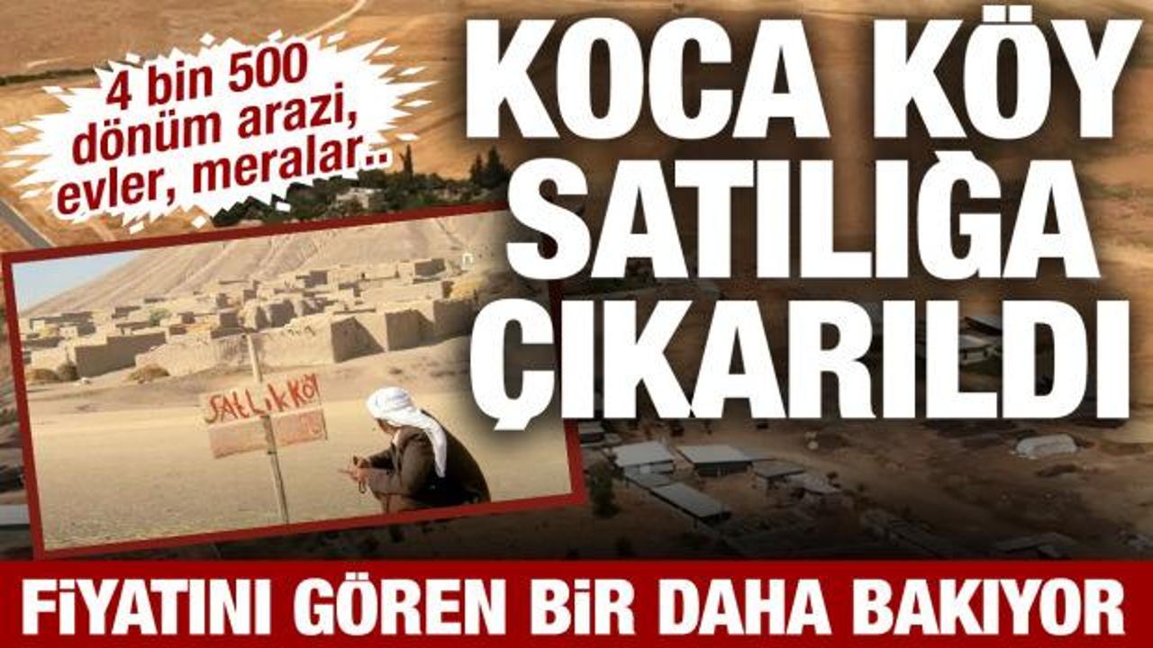 Koca k&ouml;y satılığa &ccedil;ıkarıldı: Bi&ccedil;ilen değeri g&ouml;ren bir daha baktı