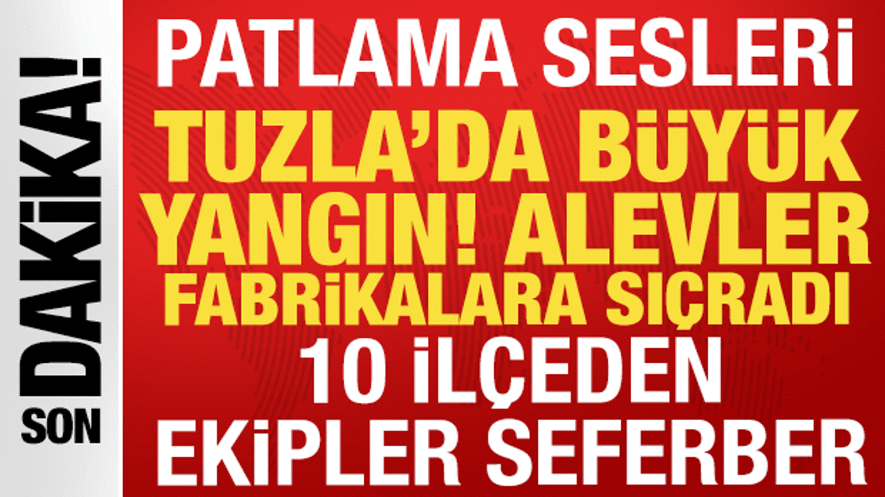 Tuzla'daki lojistik depoda b&uuml;y&uuml;k yangın: Alevler fabrikalara sı&ccedil;radı