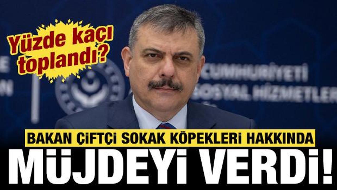 Vatandaş isyan ediyordu, Bakan &Ccedil;ift&ccedil;i duyurdu: Sokak k&ouml;peklerinin y&uuml;zde ka&ccedil;ı toplandı?
