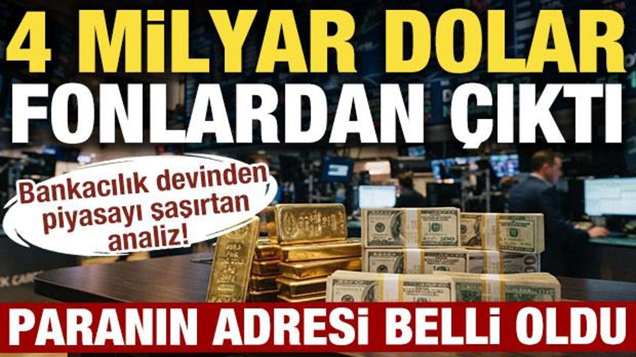 Fonlardan &ccedil;ıkan 4 milyar doların adresi belli oldu: Goldman Sachs'tan dikkat &ccedil;eken analiz