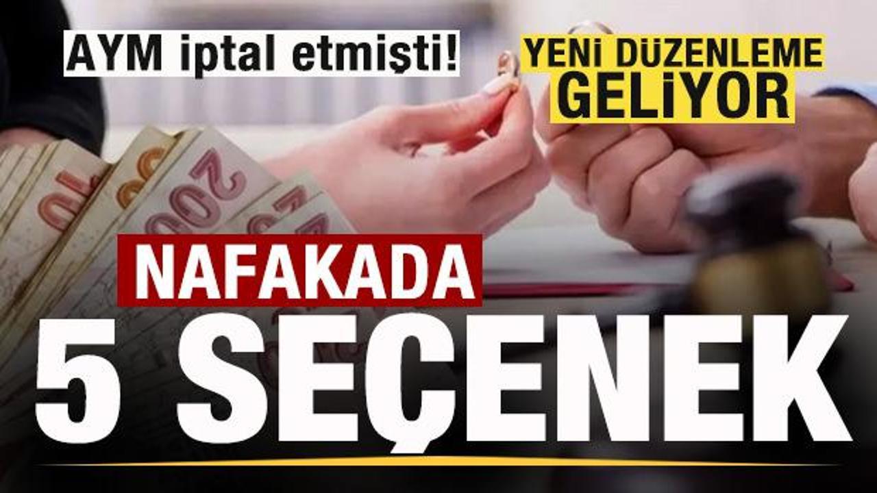AYM iptal etmişti! Nafaka i&ccedil;in beş form&uuml;l! Yeni d&uuml;zenleme geliyor
