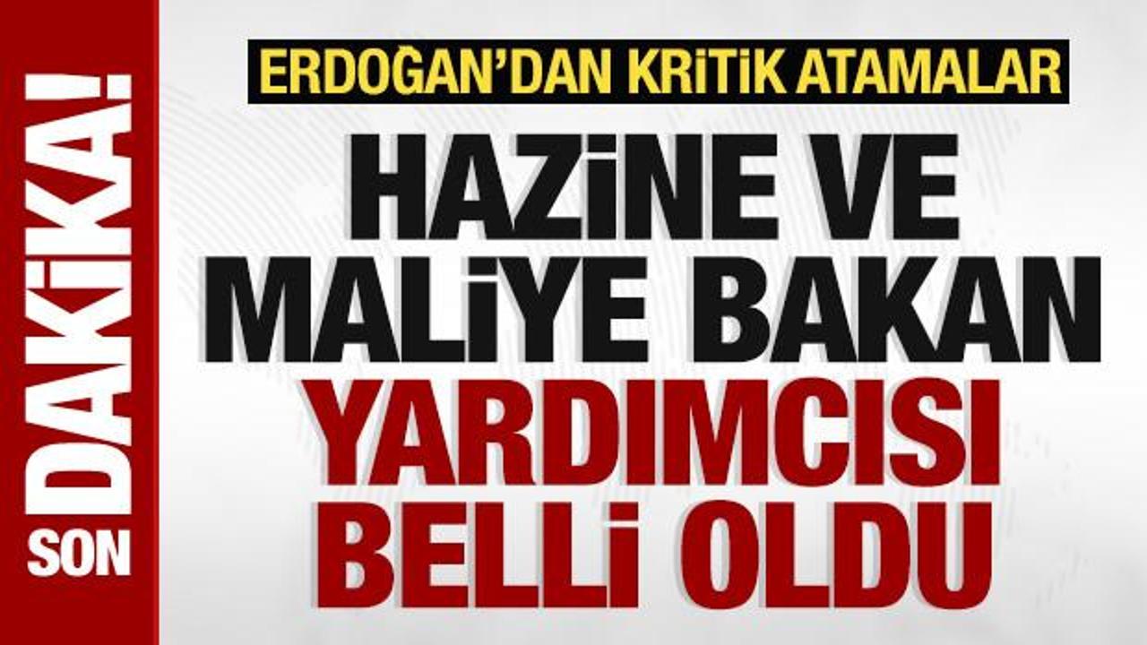 Başkan Erdoğan'dan kritik atamalar! Hazine ve Maliye Bakan Yardımcısı belli oldu