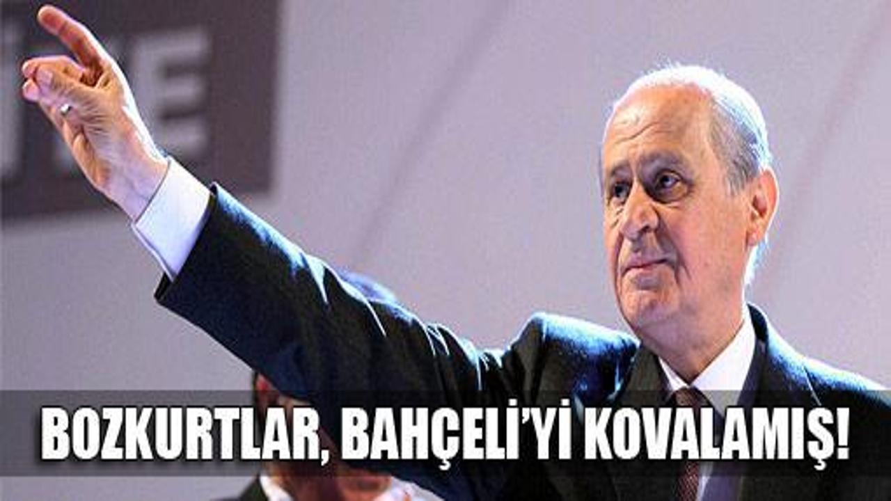 Bozkurtlar, Bahçeli'yi kovalamış!