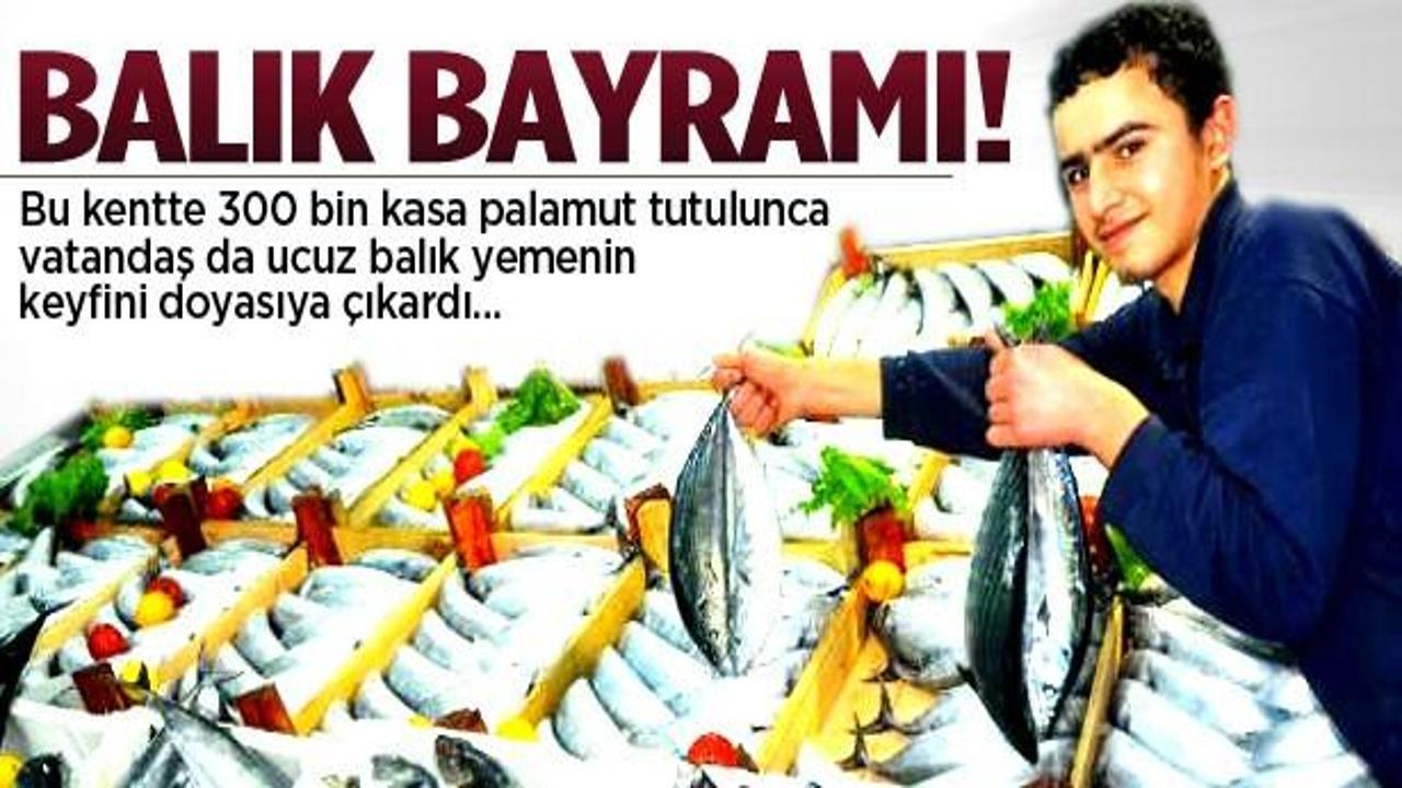 2 ayda 300 bin kasa palamut yakalandı!