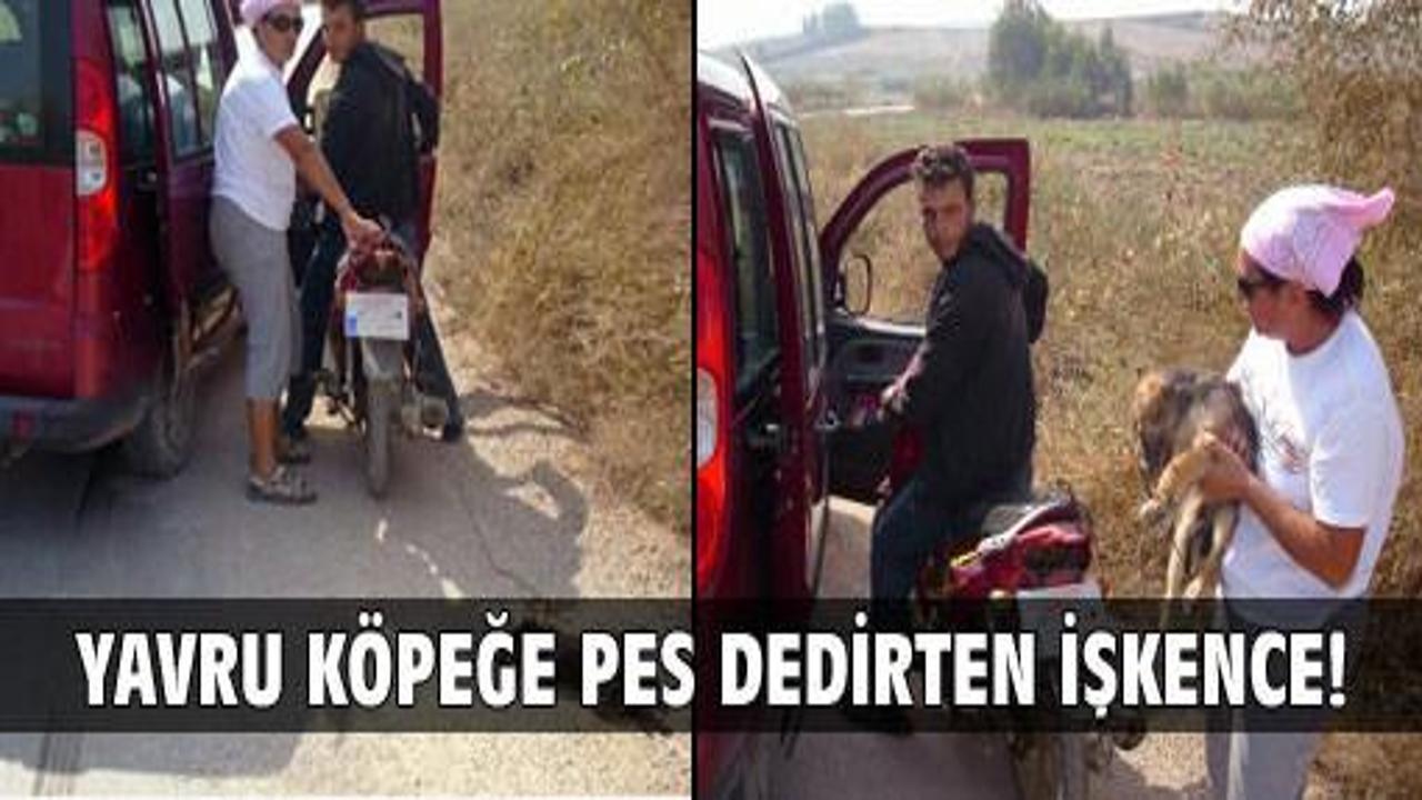 Yavru köpeğe pes dedirten işkence