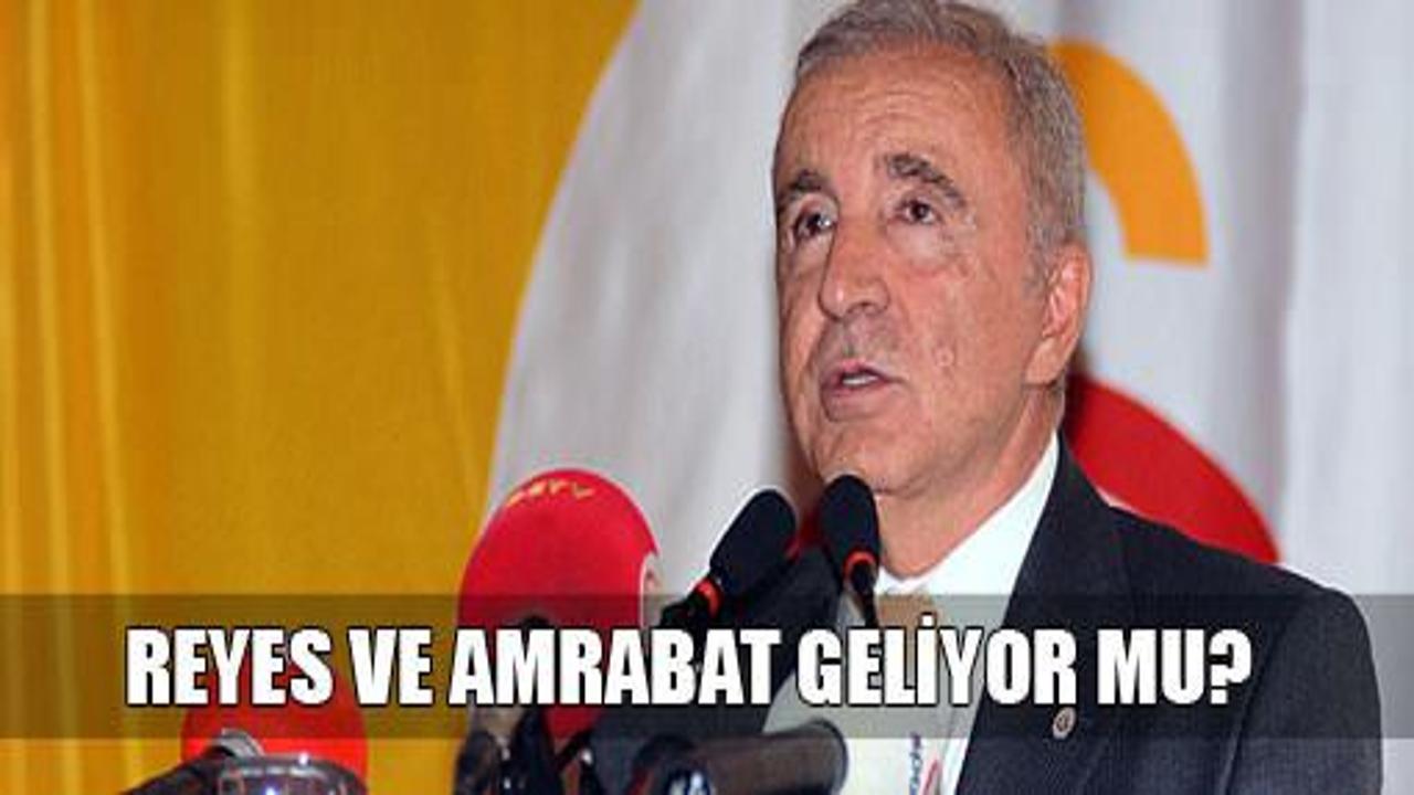 Aysal'dan Fenerbahçe'ye zeytin dalı