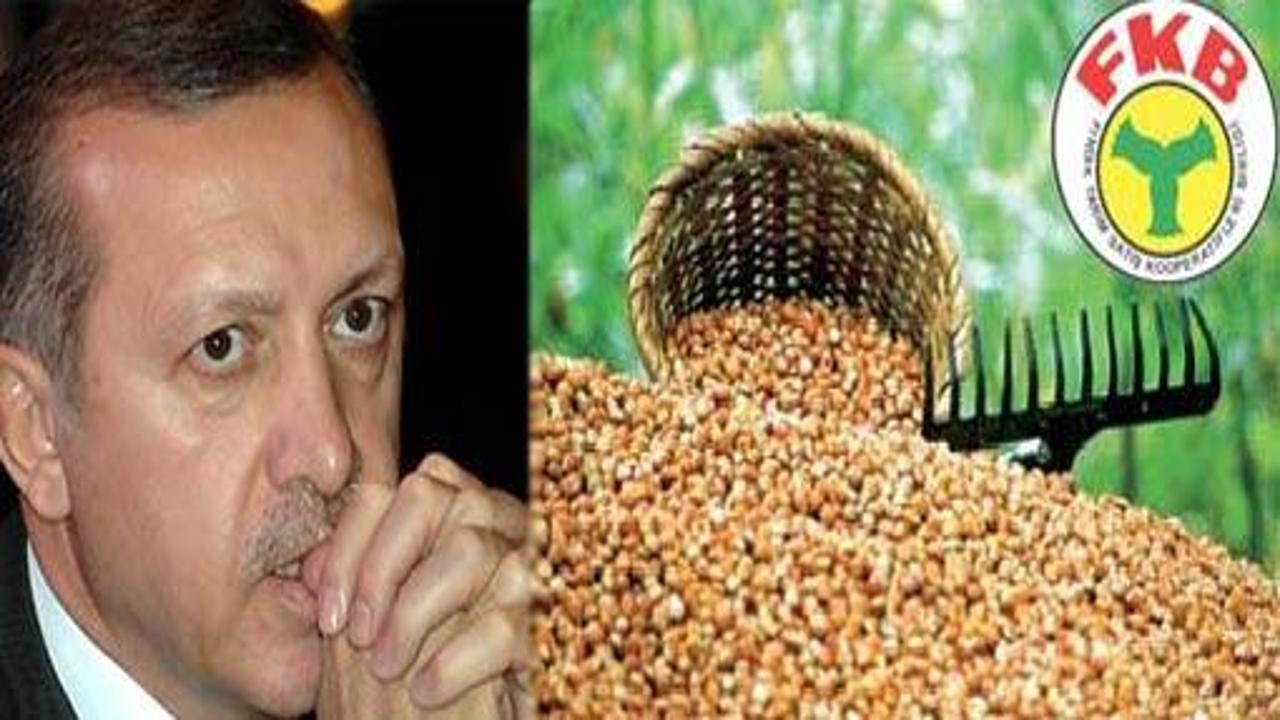 Amiral gemisi Fiskobirlik iflas mı edecek
