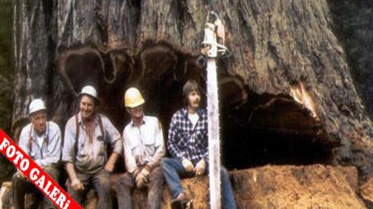 Para kazanmanın en zor yolları GALERİ