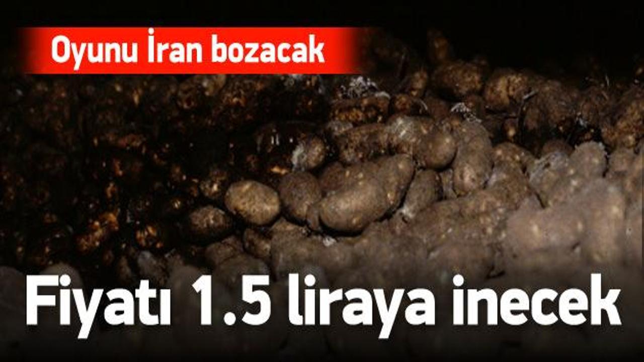 50 kuruşluk İran patatesi oyunu bozacak!