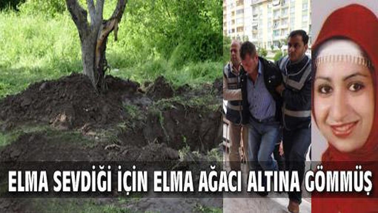 Elma seviyor diye elmalığa gömdü!