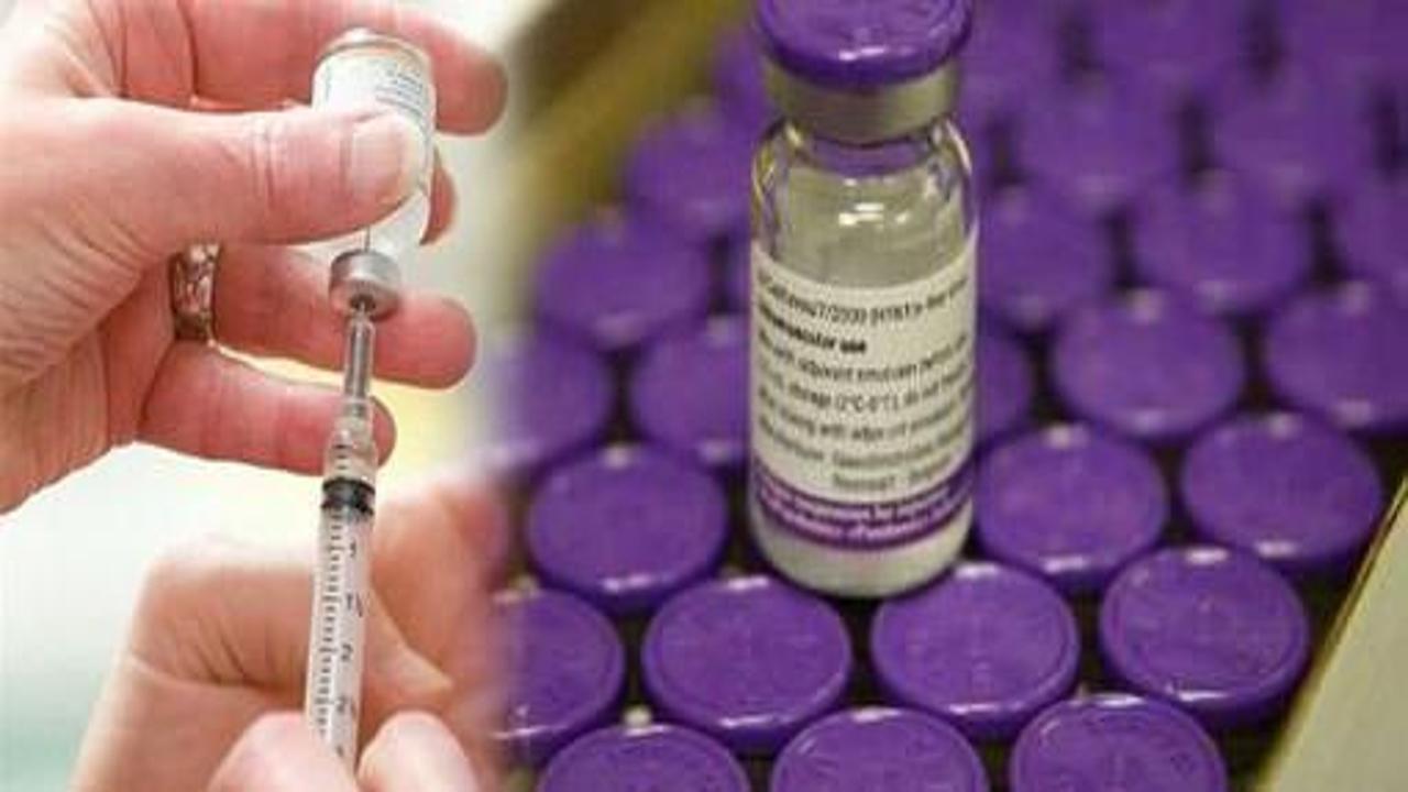 Domuz gribi aşıları testlerden geçti