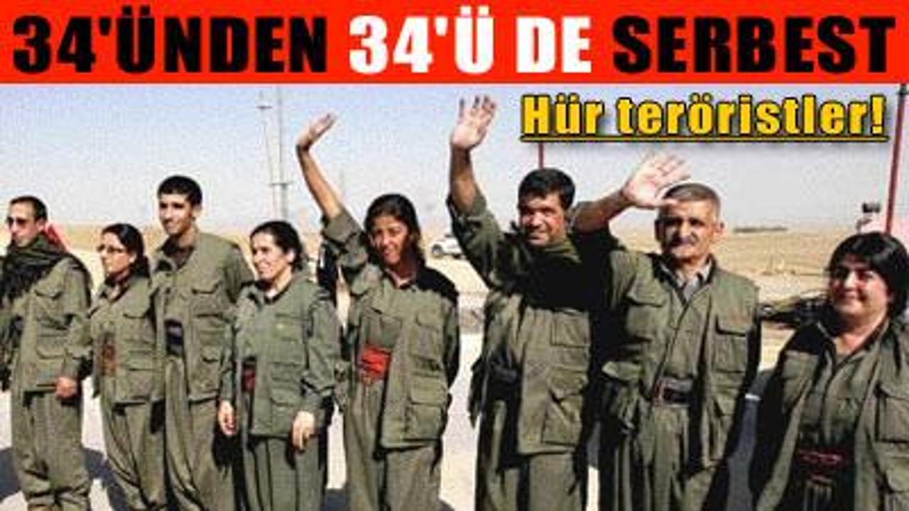 Gözaltındaki bütün PKK'lılar serbest!