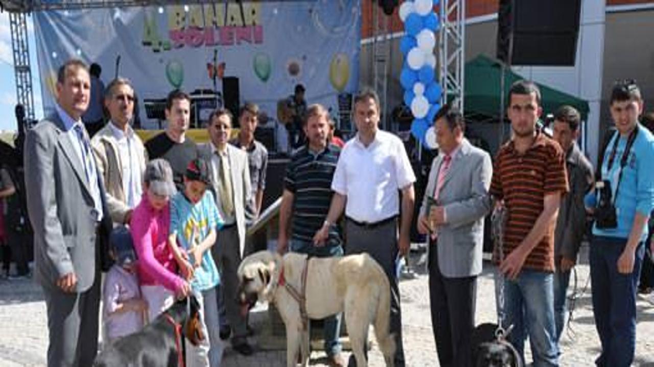 KMÜ'de köpek güzellik yarışması yapıldı