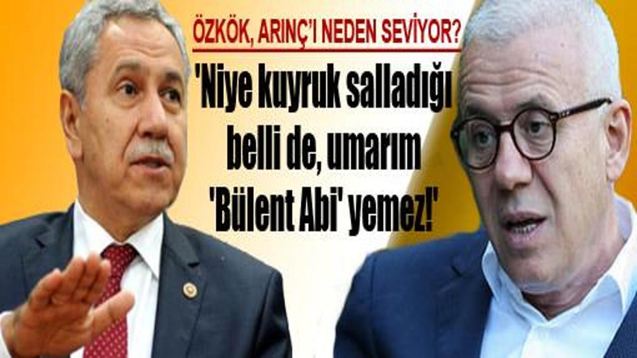 Ertuğrul Özkök Arınç'ı neden seviyor?