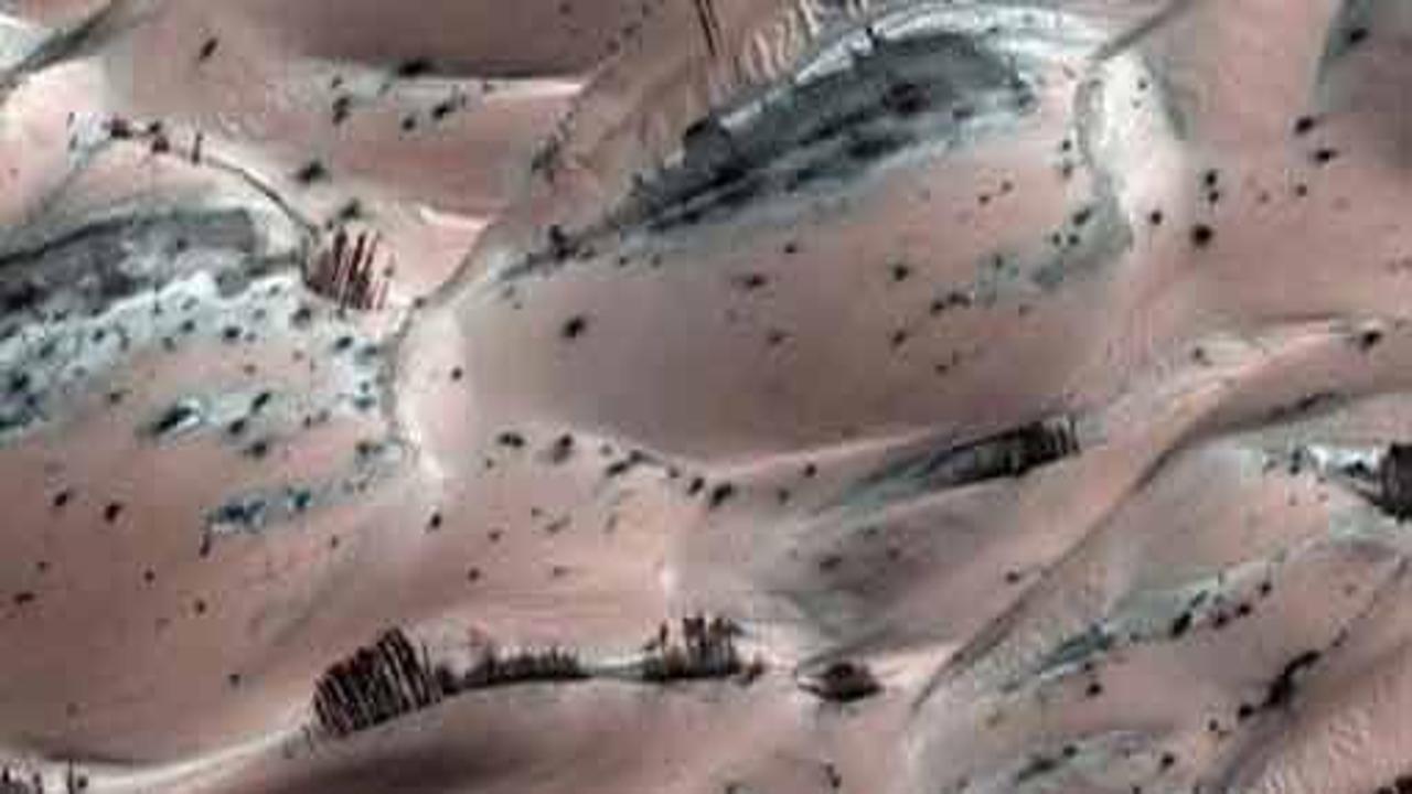 Mars fotoğraflarındaki ağacın sırrı