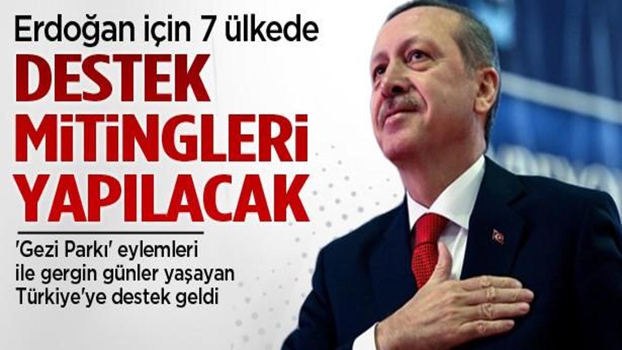 7 ülkede Başbakan Erdoğan'a destek mitingi
