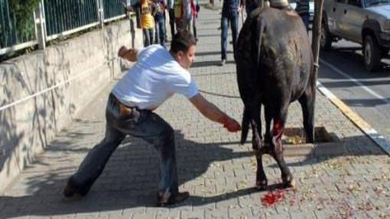 Kurban vahşetinin cezası açıklandı