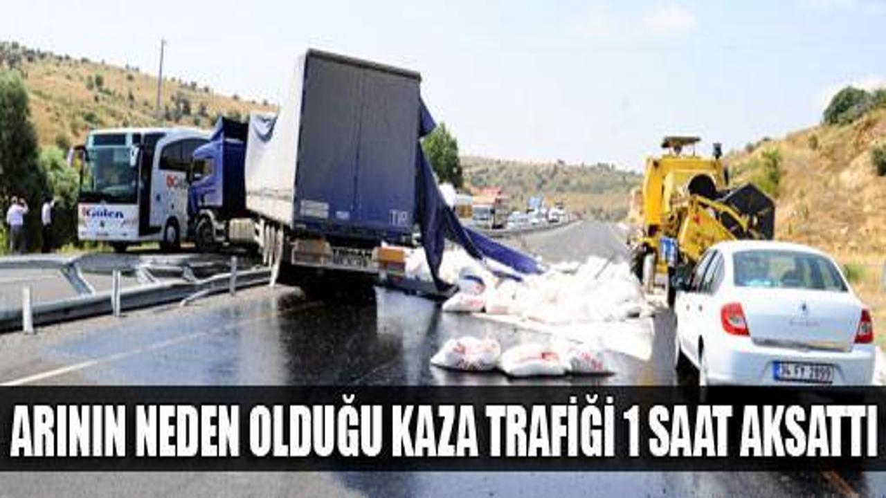 Arının neden olduğu kaza trafiği aksattı