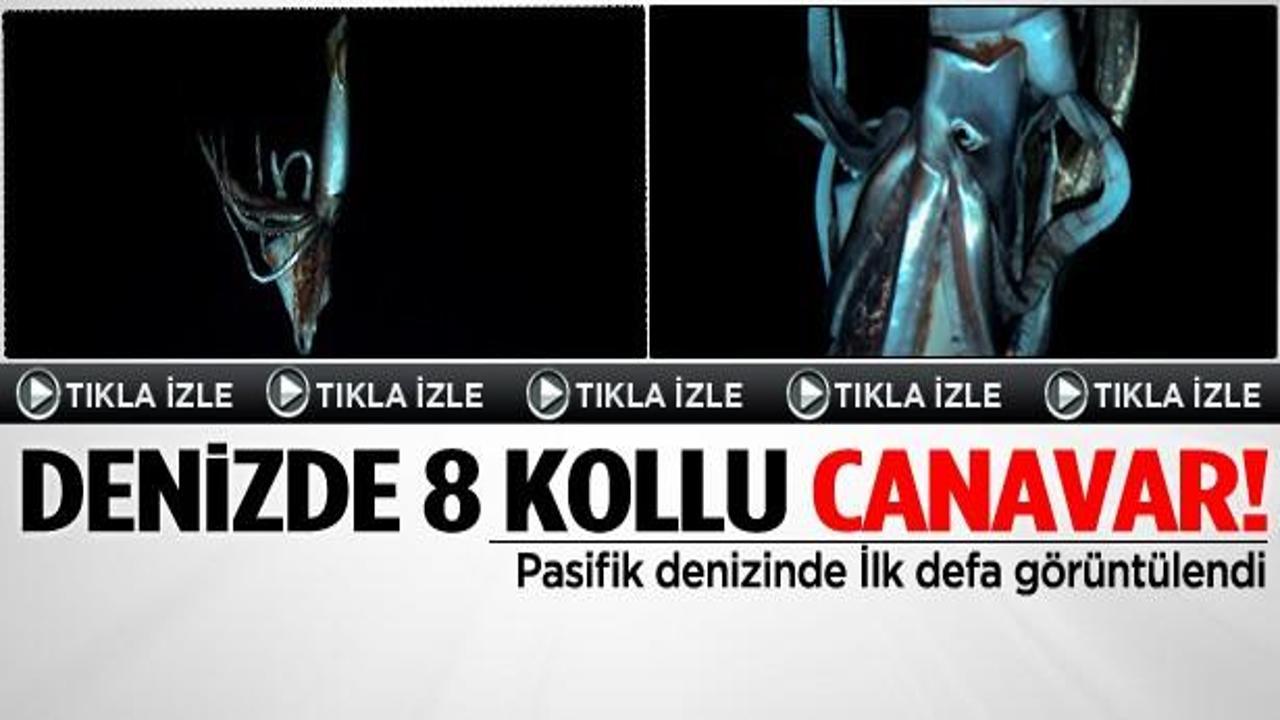 8 kollu canavar ilk kez g&ouml;r&uuml;nt&uuml;lendi