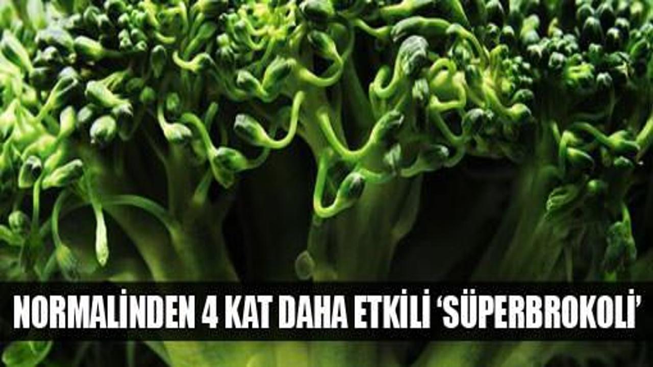 Kansere karşı 'Süperbrokoli' geliştirildi