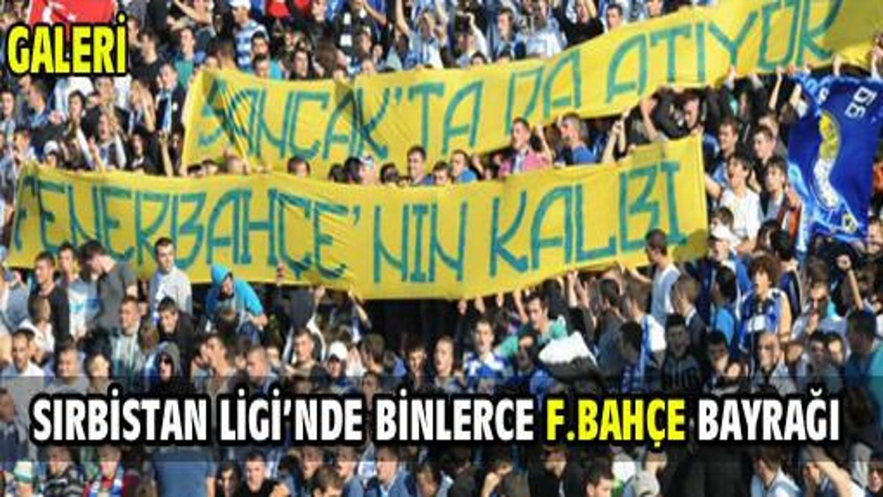 Sırbistan Ligi'nde binlerce FB bayrağı